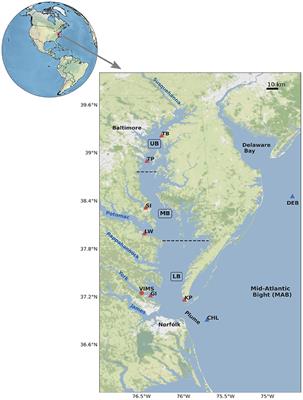 Marine Heatwaves in the Chesapeake Bay